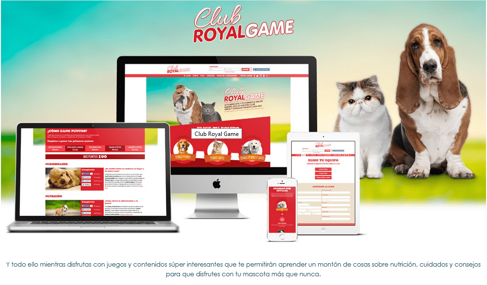 fidelización en ecommerce