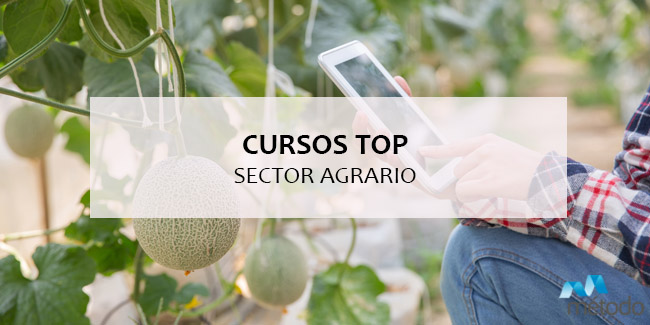 Cursos top para el sector agrario: nuestra selección