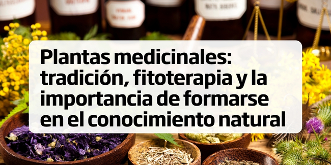 Curso online gratuito de plantas medicinales